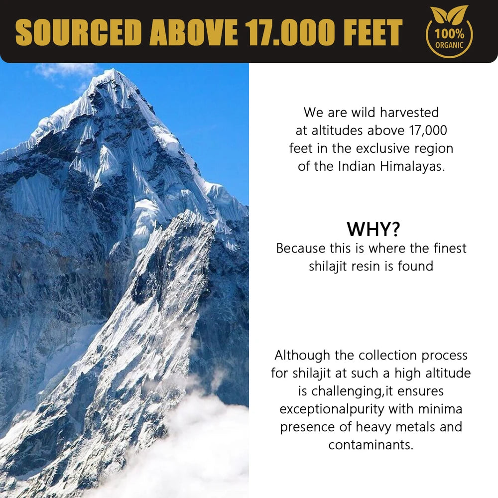 Shilajit Pure Resin From Himalayas
